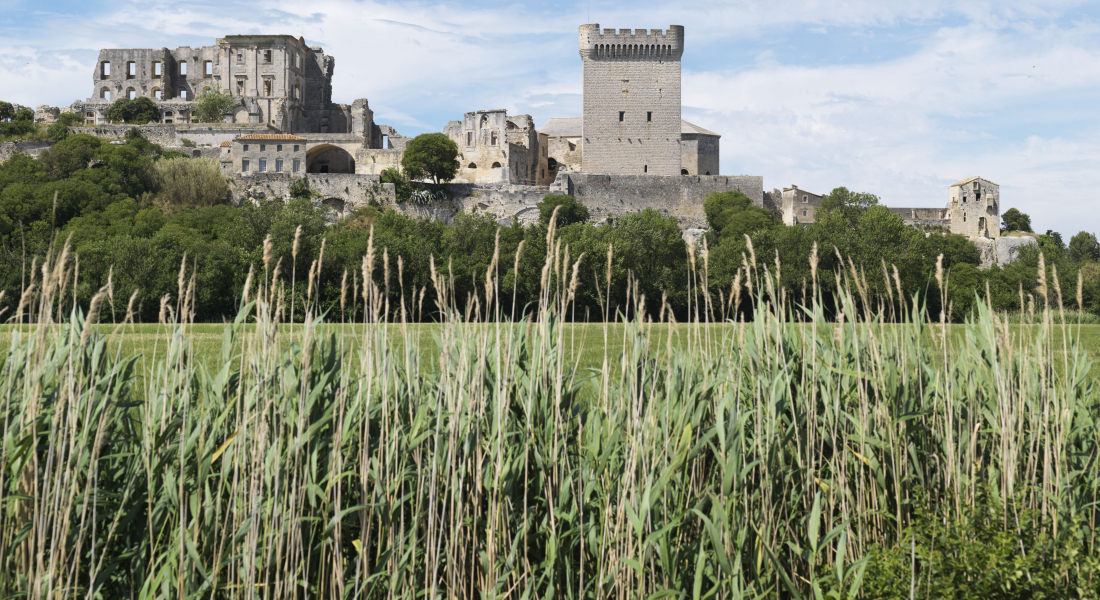 Abbaye de Montmajour