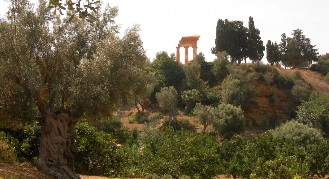 Kolymbetra