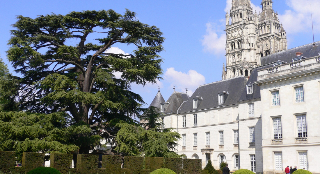 MBA Tours