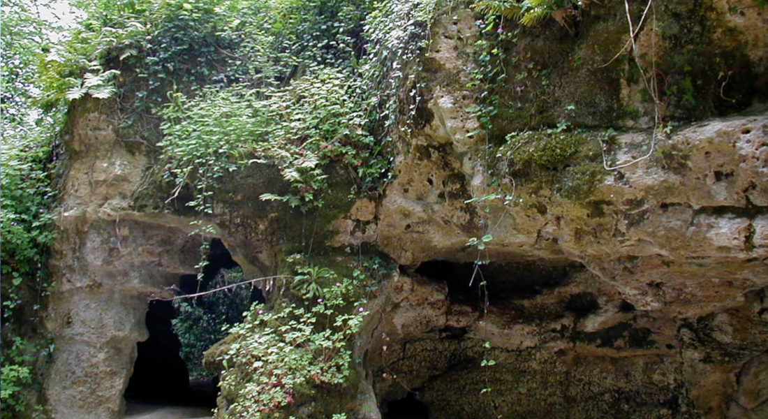Grotte pair-non-pair