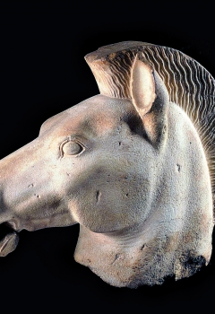 Tête de Cheval