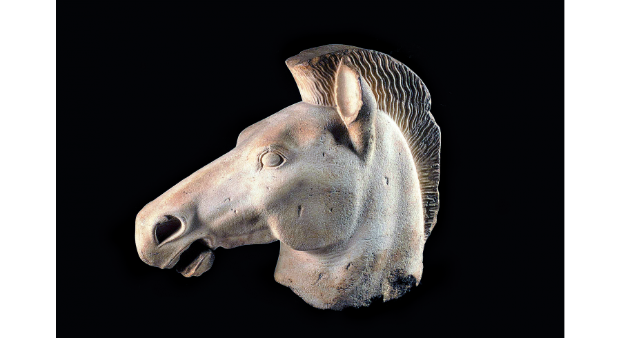 Tête de cheval